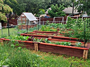 Raised Bed Gardening