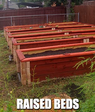 Raised Bed Gardening